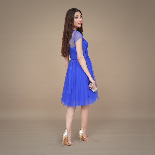 Graceful Botanique Knee-Length Lace Dress