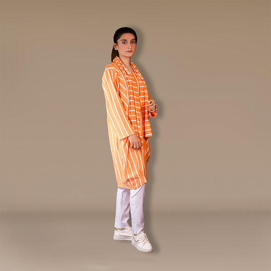 Elegance In Stripes Dress Tunic