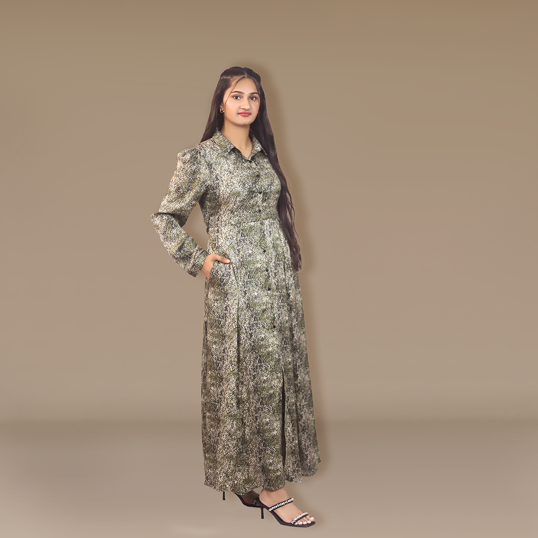 Printed pleated dress- Patterned Collar Statement